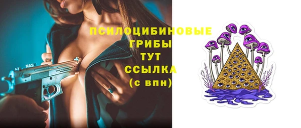 кокс Белокуриха