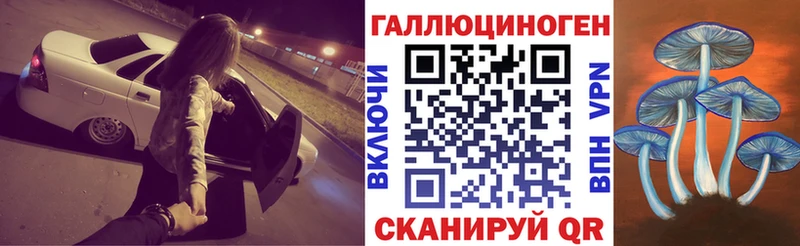 Галлюциногенные грибы Psilocybine cubensis  Йошкар-Ола 